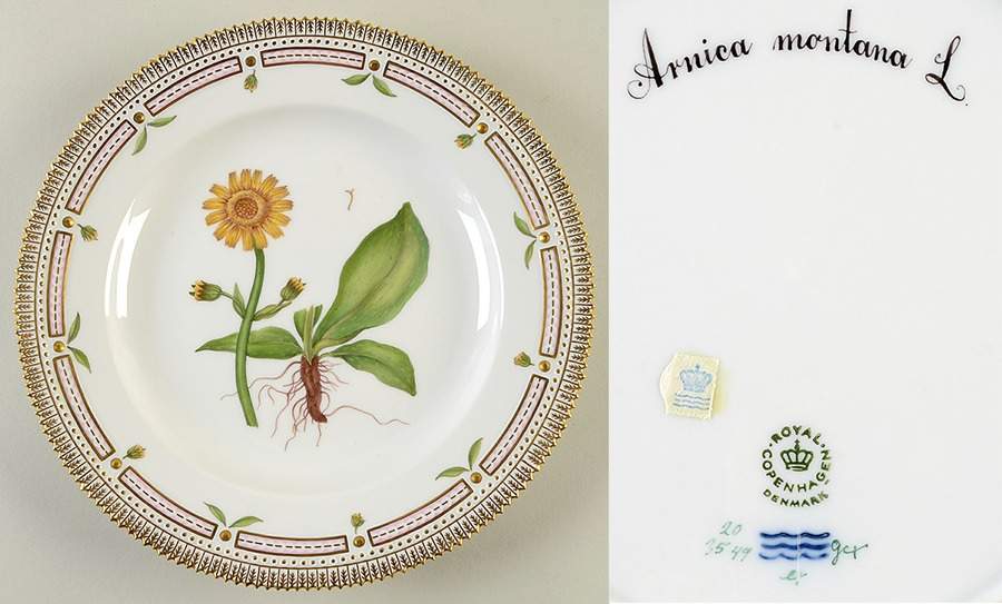 Flora Danica (1961 To Current) Dinner Plate-Arnica montana L. by Royal Copenhagen-1
