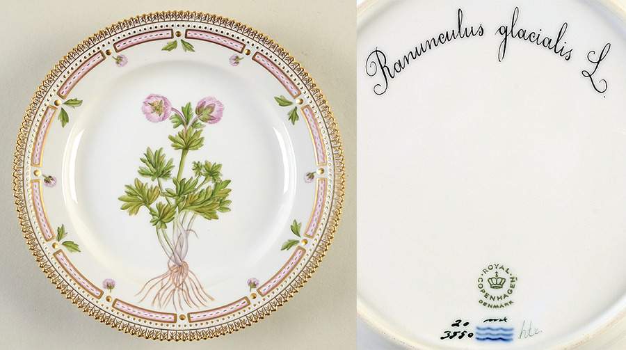 Flora Danica (1961 To Current) Luncheon Plate-Ranunculus glacialis L. by Royal Copenhagen-1