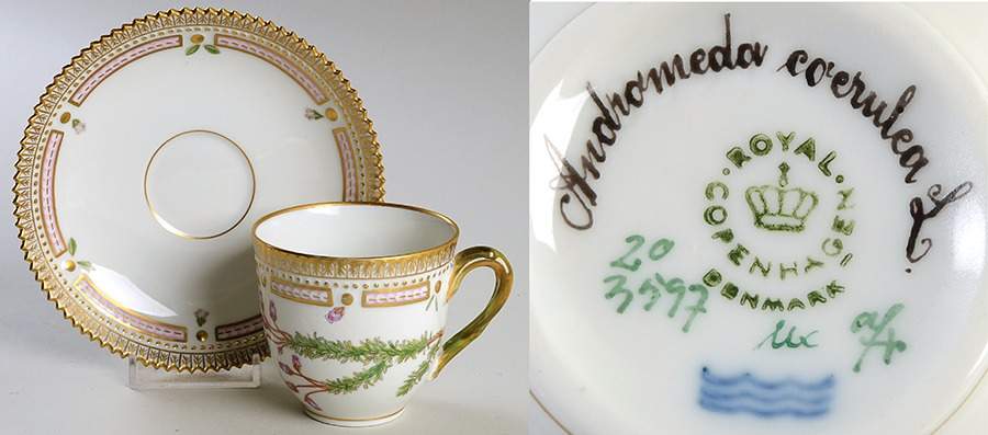 Flora Danica (1961 To Current) Flat Cup & Saucer Set-Andromeda coerulea L. by Royal Copenhagen-1