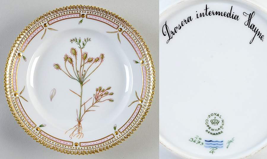 Flora Danica (1961 To Current) Salad Plate-Drosera intermedia Hayne by Royal Copenhagen-1