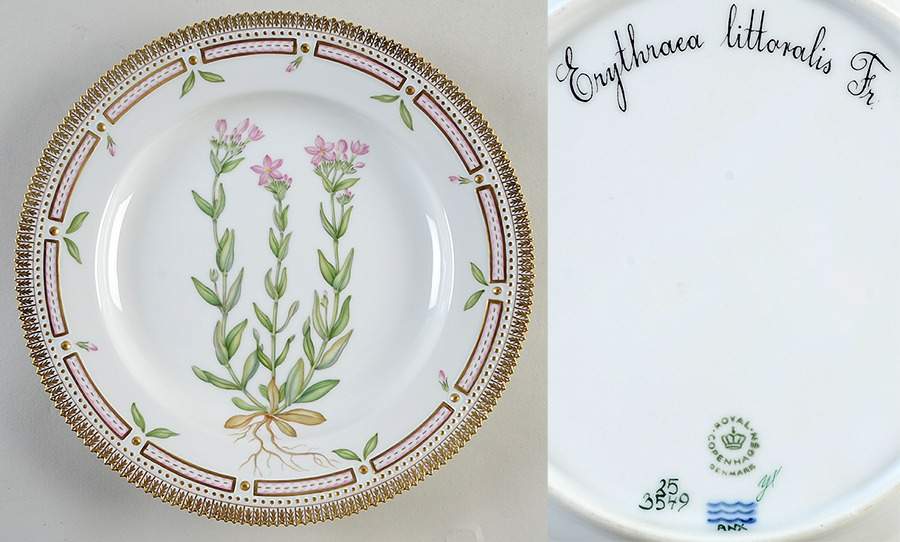Flora Danica (1961 To Current) Dinner Plate-Erythraca littoralis Fr. by Royal Copenhagen-1