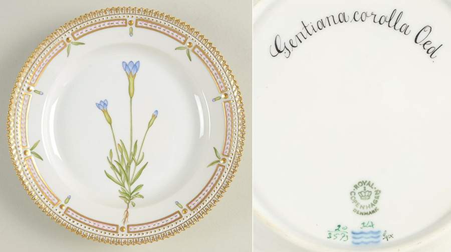 Flora Danica (1961 To Current) Salad Plate-Gentiana corolla Oed. by Royal Copenhagen-1