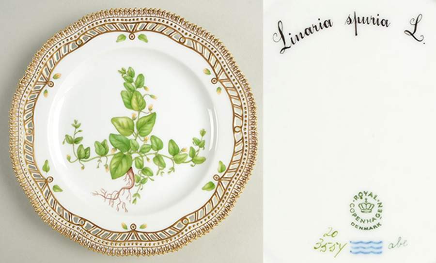 Flora Danica (1961 To Current) 9" Pierced Luncheon Plate/Fruit Std-Linaria spuria by Royal Copenhagen-1