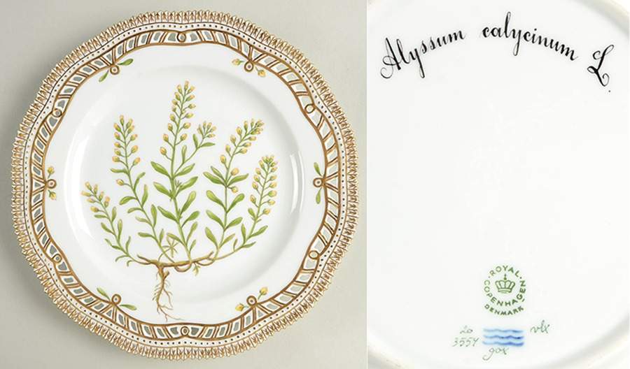 Flora Danica (1961 To Current) 9" Pierced Luncheon Plate/Fruit Std-Alyesum calyei by Royal Copenhagen-1