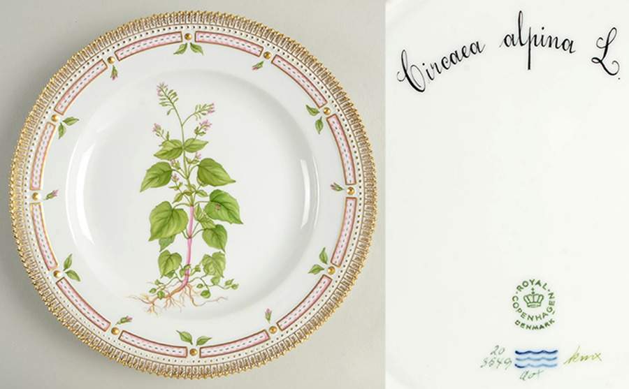 Flora Danica (1961 To Current) Dinner Plate-Cireaea alpina L. by Royal Copenhagen-1