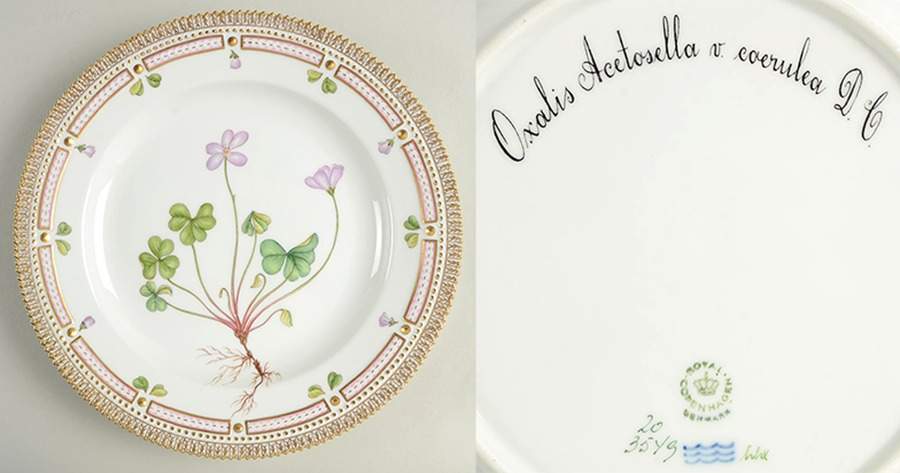 Flora Danica (1961 To Current) Dinner Plate-Oxalis Acetosella v coerulea D C. by Royal Copenhagen-1