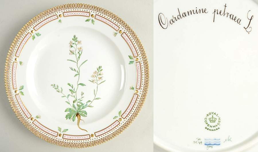 Flora Danica (1961 To Current) Dinner Plate-Cardamine patraea L by Royal Copenhagen-1