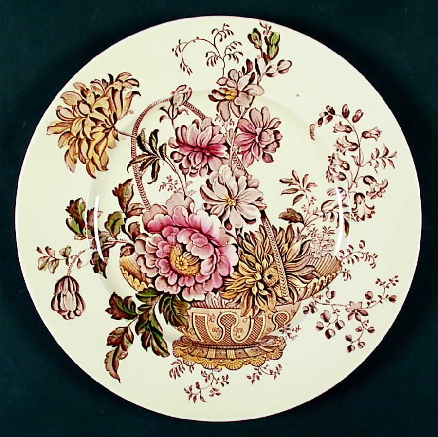 Charlotte Brown Multicolor Dinner Plate by Royal Crownford-1