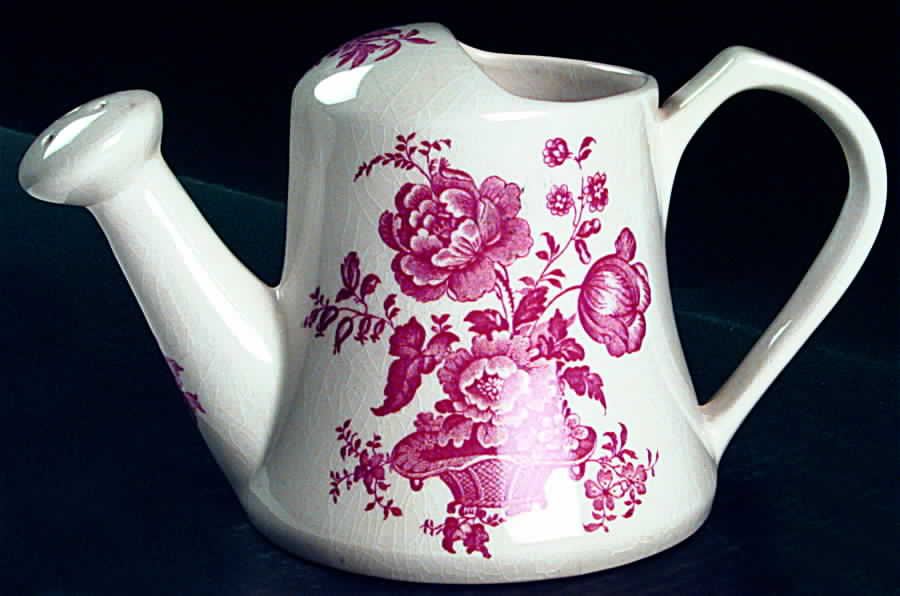 Charlotte Red On White Water Can by Royal Crownford-1