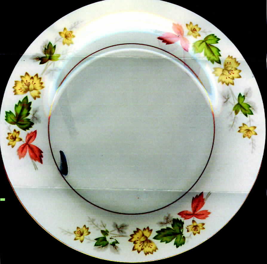 Alyson Salad Plate by Royal Castle-1