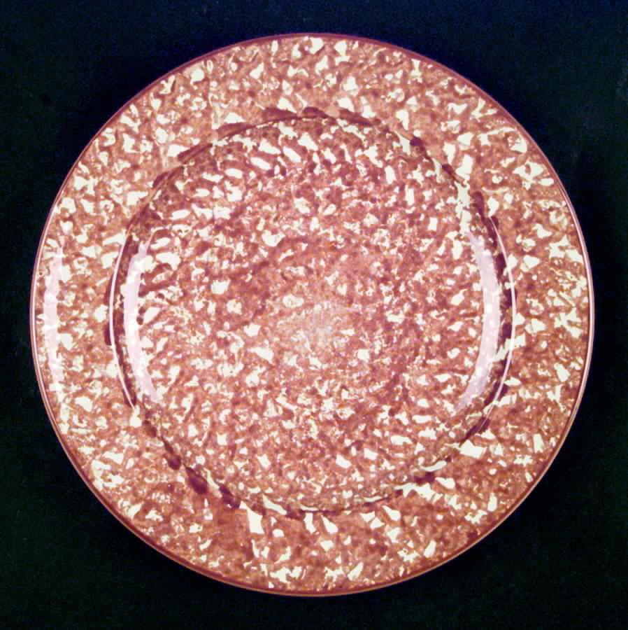 Town and Country Terra Cotta Dinner Plate by Royal Cumberland-1