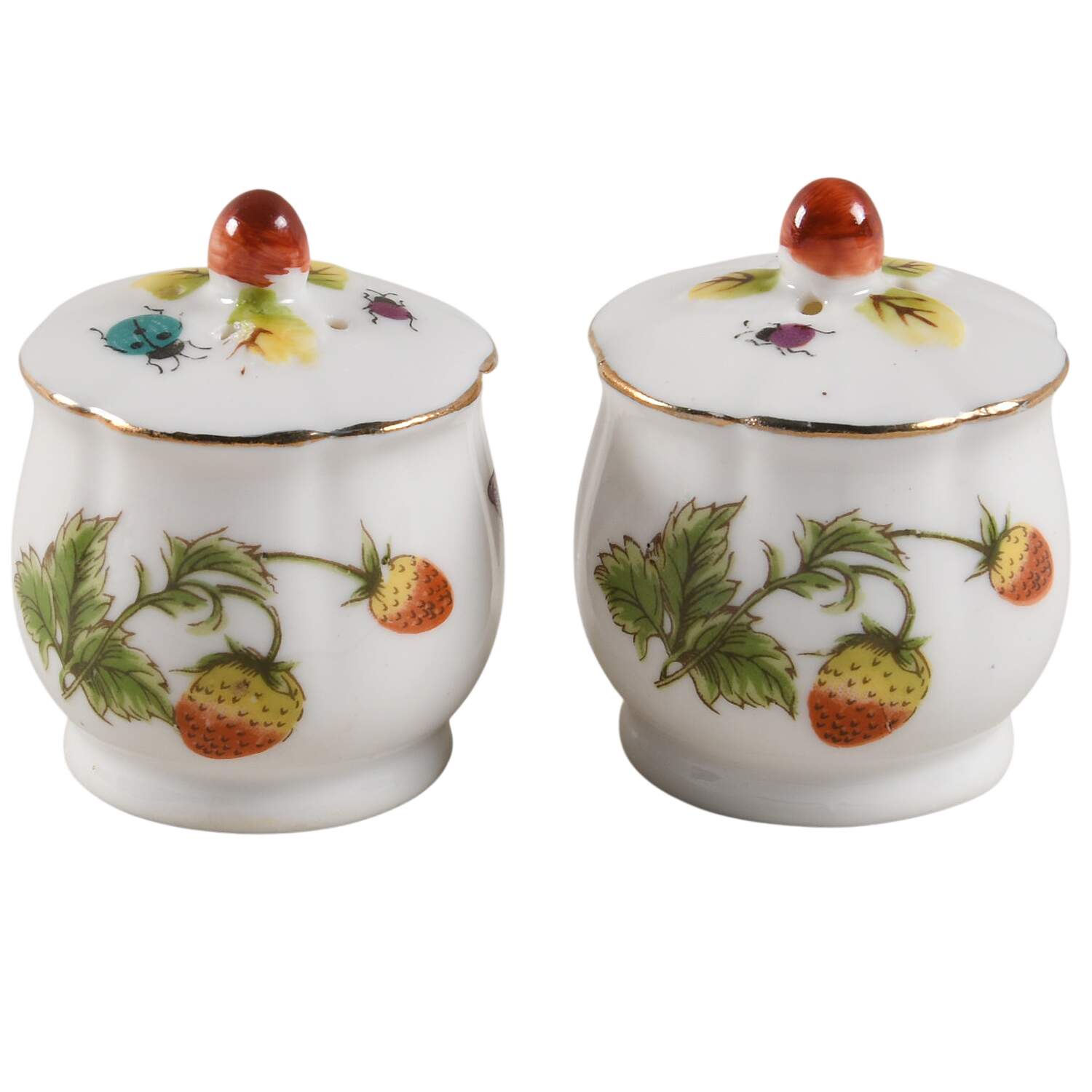 Spring Time Stove Top Salt & Pepper Set by Royal Crown (Japan)-1