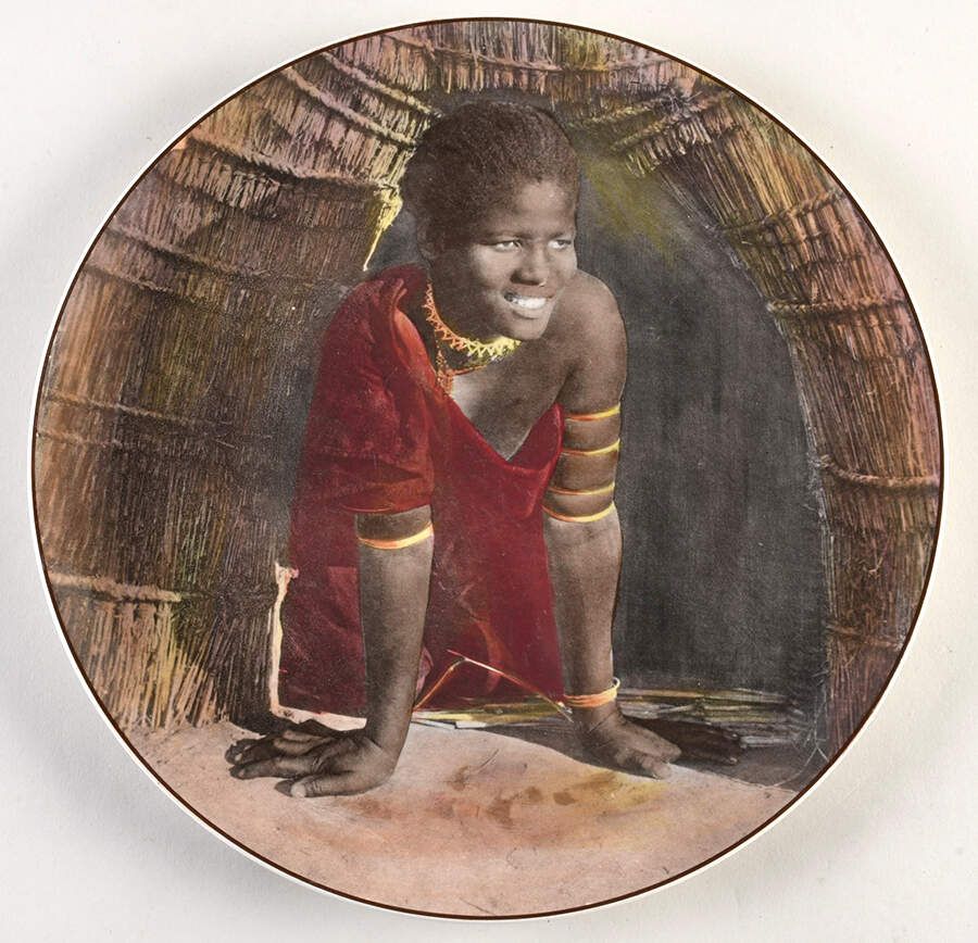 African Series Multicolor (Coupe) Dinner Plate by Royal Doulton-1