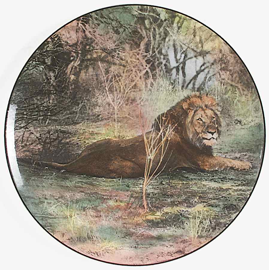 African Series Multicolor (Coupe) Dinner Plate by Royal Doulton-1