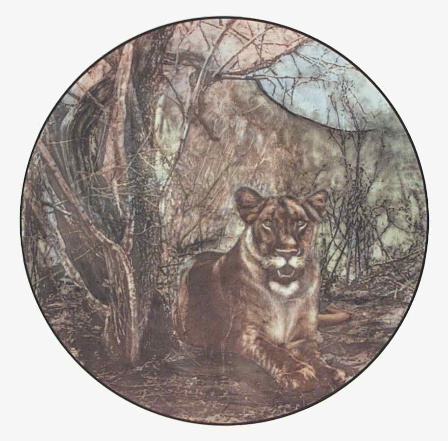 African Series Multicolor (Coupe) Dinner Plate by Royal Doulton-1