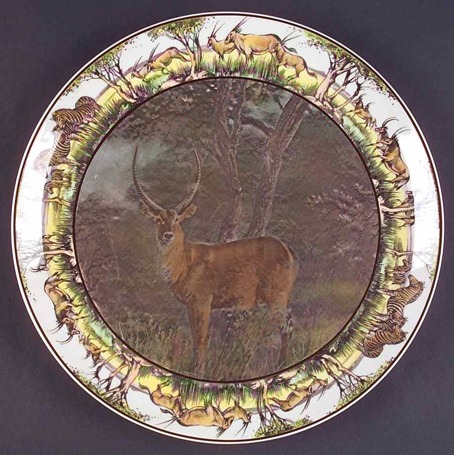 African Series Multicolor (Coupe) 13" Chop Plate (Round Platter) by Royal Doulton-1