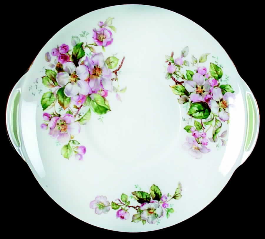 Apple Blossom Handled Cake Plate by Royal Doulton-1