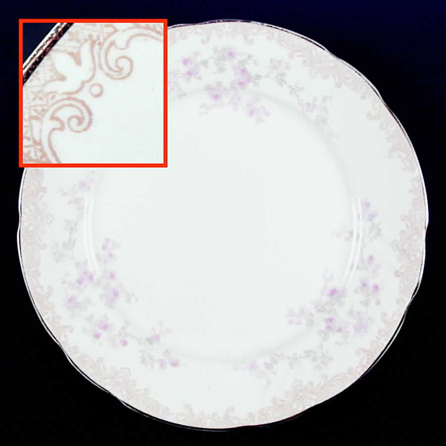 Bernice Dinner Plate by Royal Doulton-1