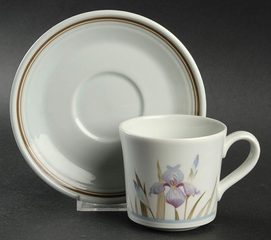 Blue Iris Flat Cup & Saucer Set by Royal Doulton-1