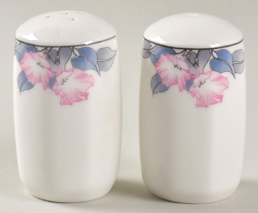 Bloomsbury Salt & Pepper Set by Royal Doulton-1