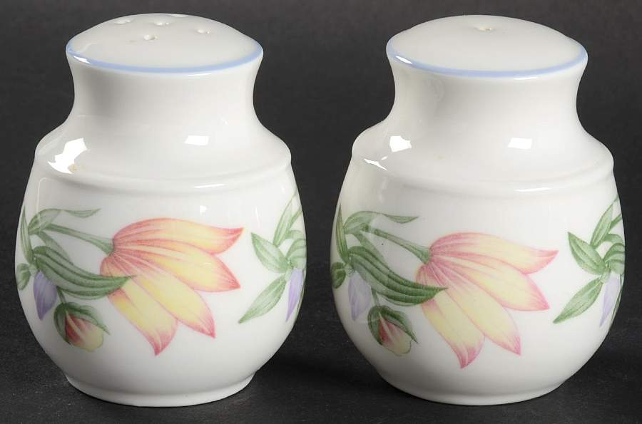 Blooms Salt & Pepper Set by Royal Doulton-1