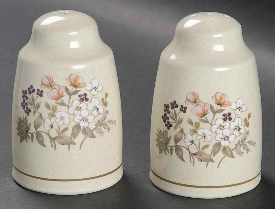 Bredon Hill Salt & Pepper Set by Royal Doulton-1