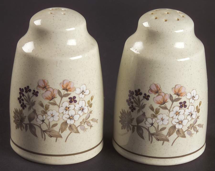 Bredon Hill Salt & Pepper Set by Royal Doulton-1