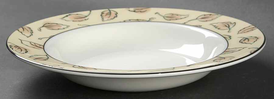 Central Park Large Rim Soup Bowl by Royal Doulton-1