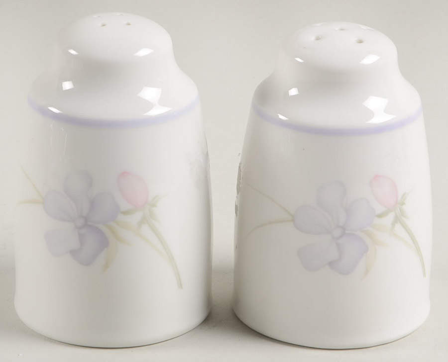 Chelsea Salt & Pepper Set by Royal Doulton-1