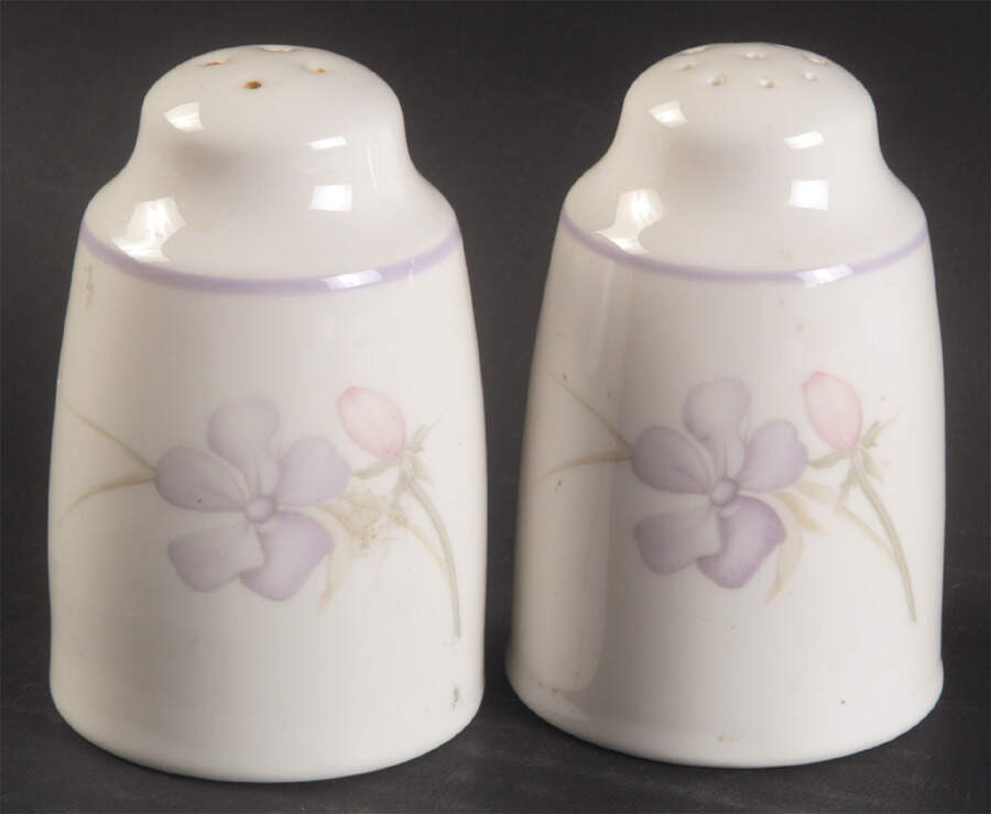 Chelsea Salt & Pepper Set by Royal Doulton-1