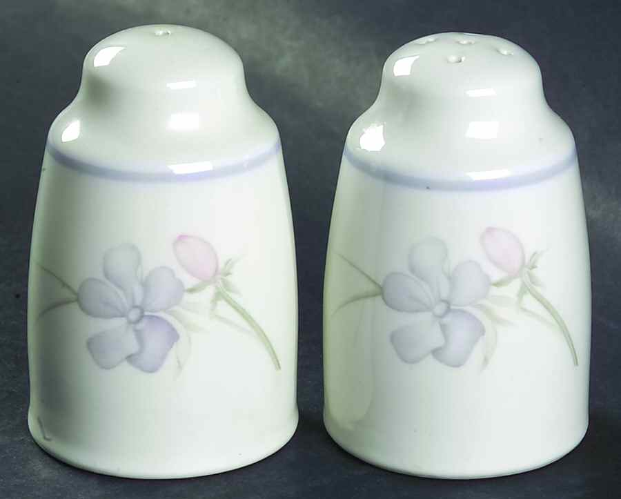 Chelsea Salt & Pepper Set by Royal Doulton-1