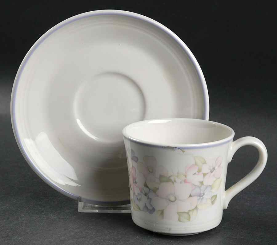 Chelsea Flat Cup & Saucer Set by Royal Doulton-1