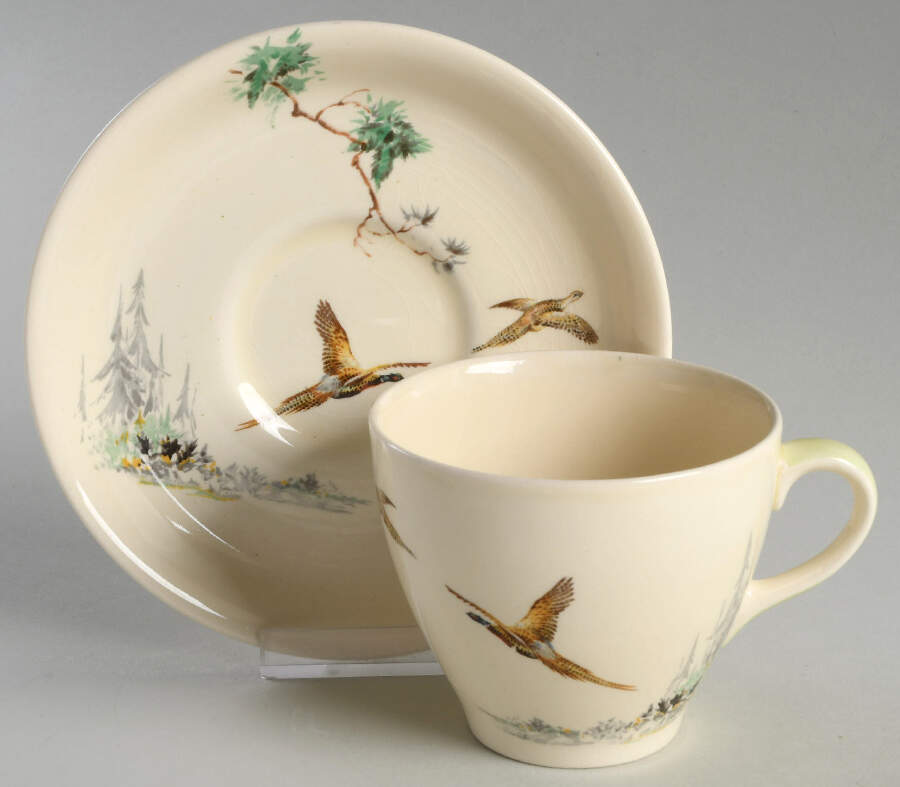 The Coppice Flat Cup & Saucer Set by Royal Doulton-1