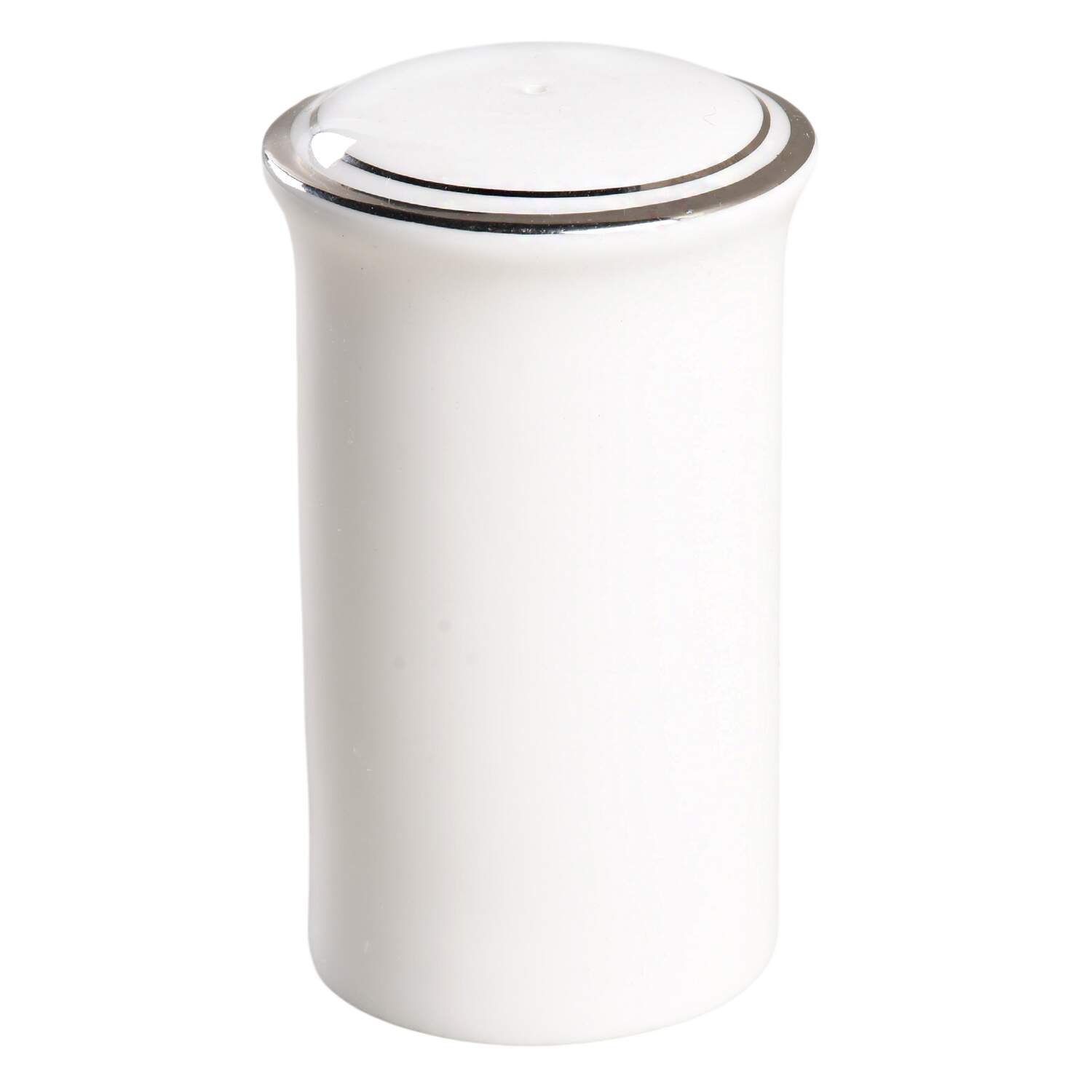 Concord Platinum (Concord Shape) Salt Shaker by Royal Doulton-1