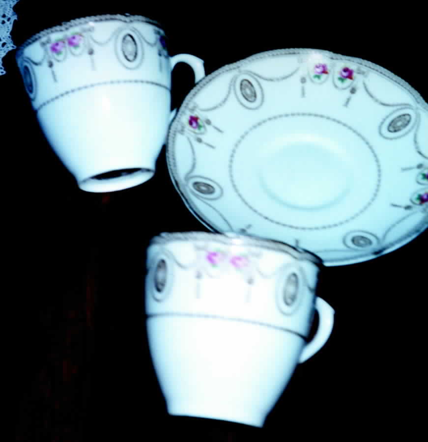 Countess Flat Cup & Saucer Set by Royal Doulton-1