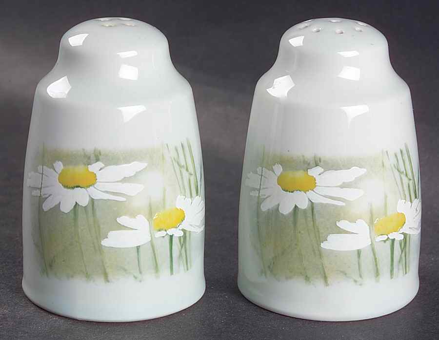 Daisyfield Salt & Pepper Set by Royal Doulton-1