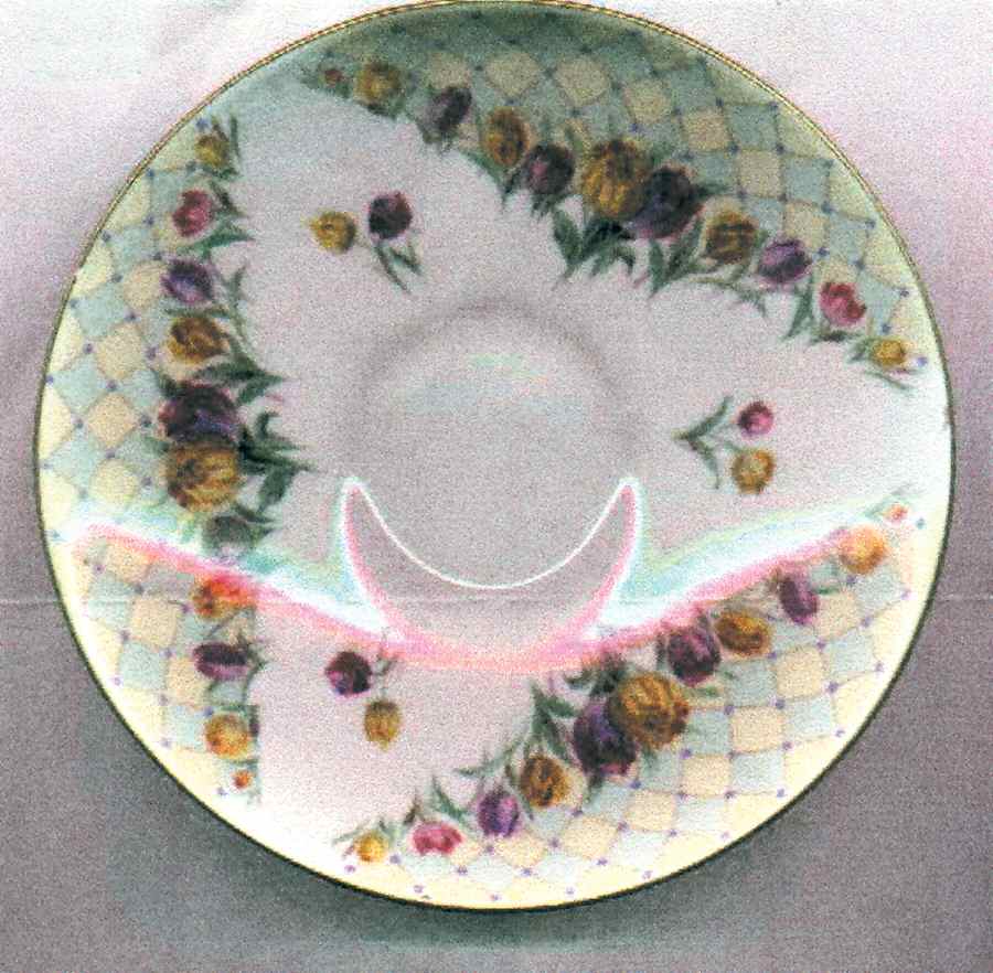 Darwin Saucer by Royal Doulton-1