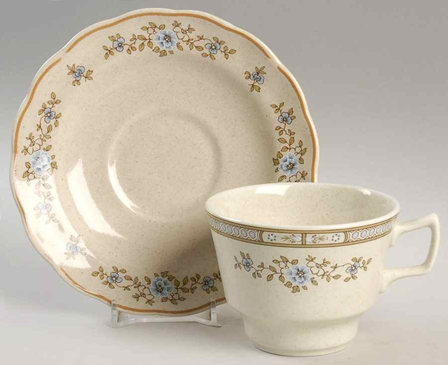 Dorset Flat Cup & Saucer Set by Royal Doulton-1