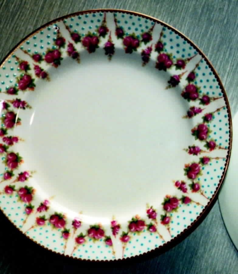 E3106 Dinner Plate by Royal Doulton-1