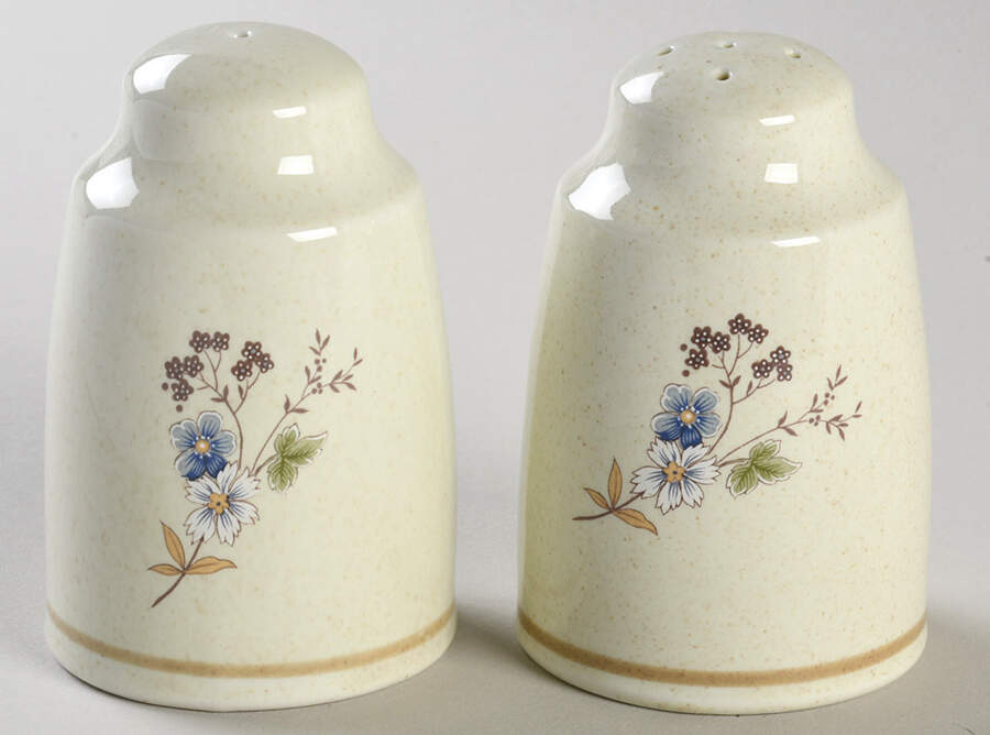 Fairford Salt & Pepper Set by Royal Doulton-1