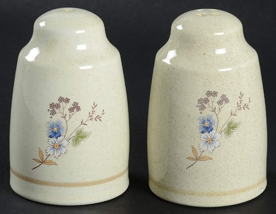 Fairford Salt & Pepper Set by Royal Doulton-1