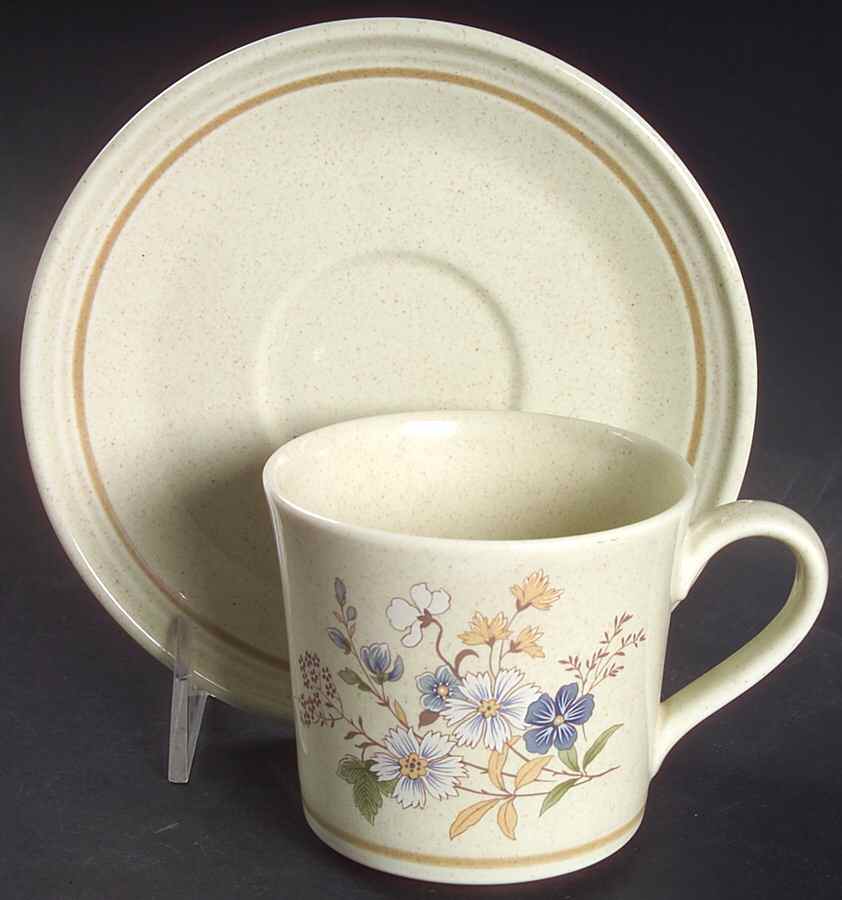 Fairford Flat Cup & Saucer Set by Royal Doulton-1