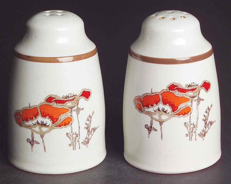 Fieldflower Salt & Pepper Set by Royal Doulton-1