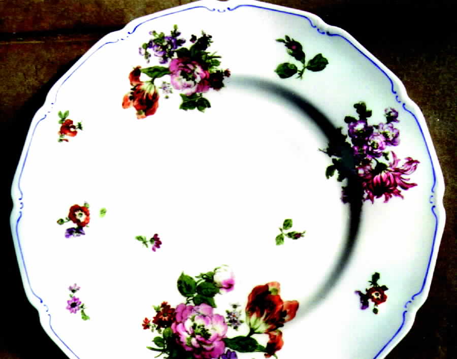 G8078 Dinner Plate by Royal Doulton-1