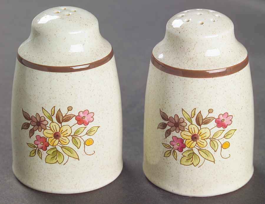 Gaiety Brown Salt & Pepper Set by Royal Doulton-1