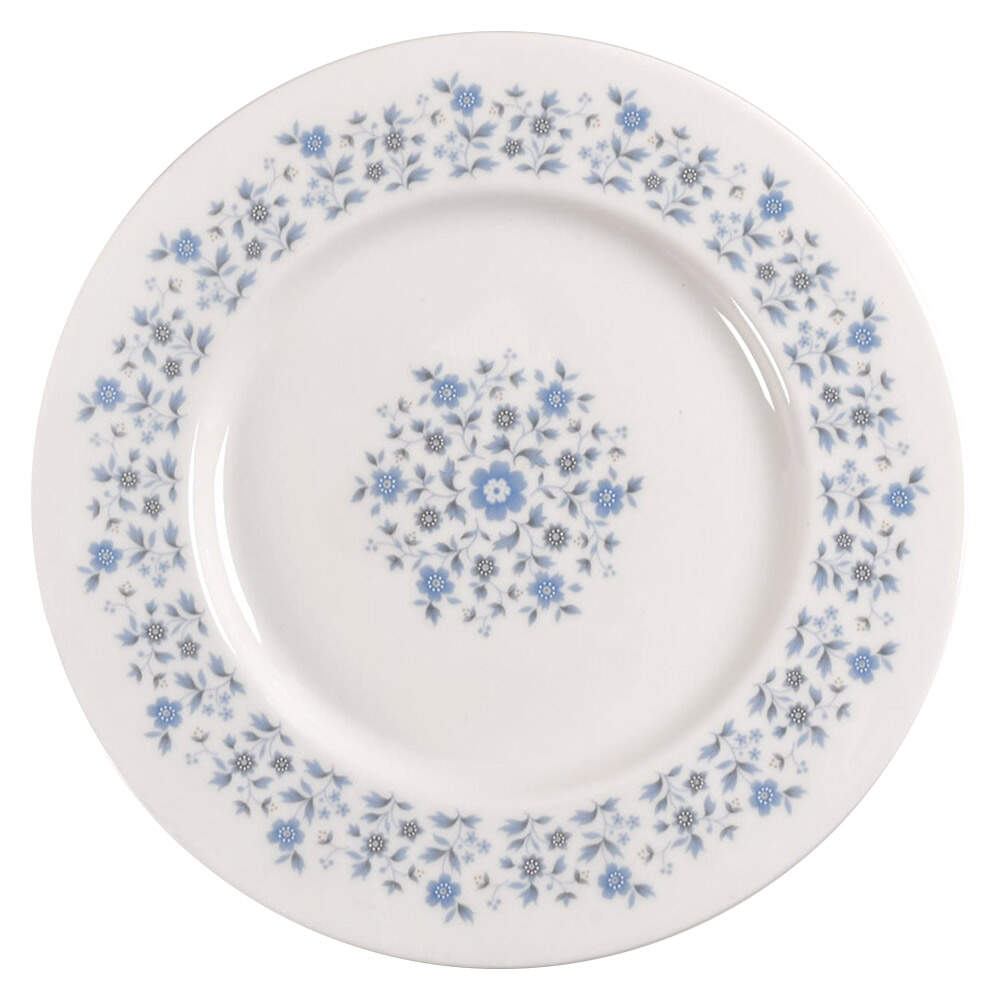 Galaxy Dinner Plate by Royal Doulton-1