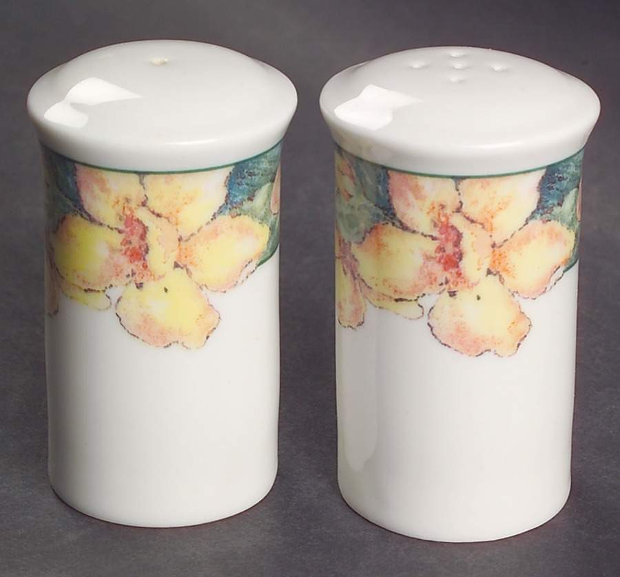 Georgia Salt & Pepper Set by Royal Doulton-1