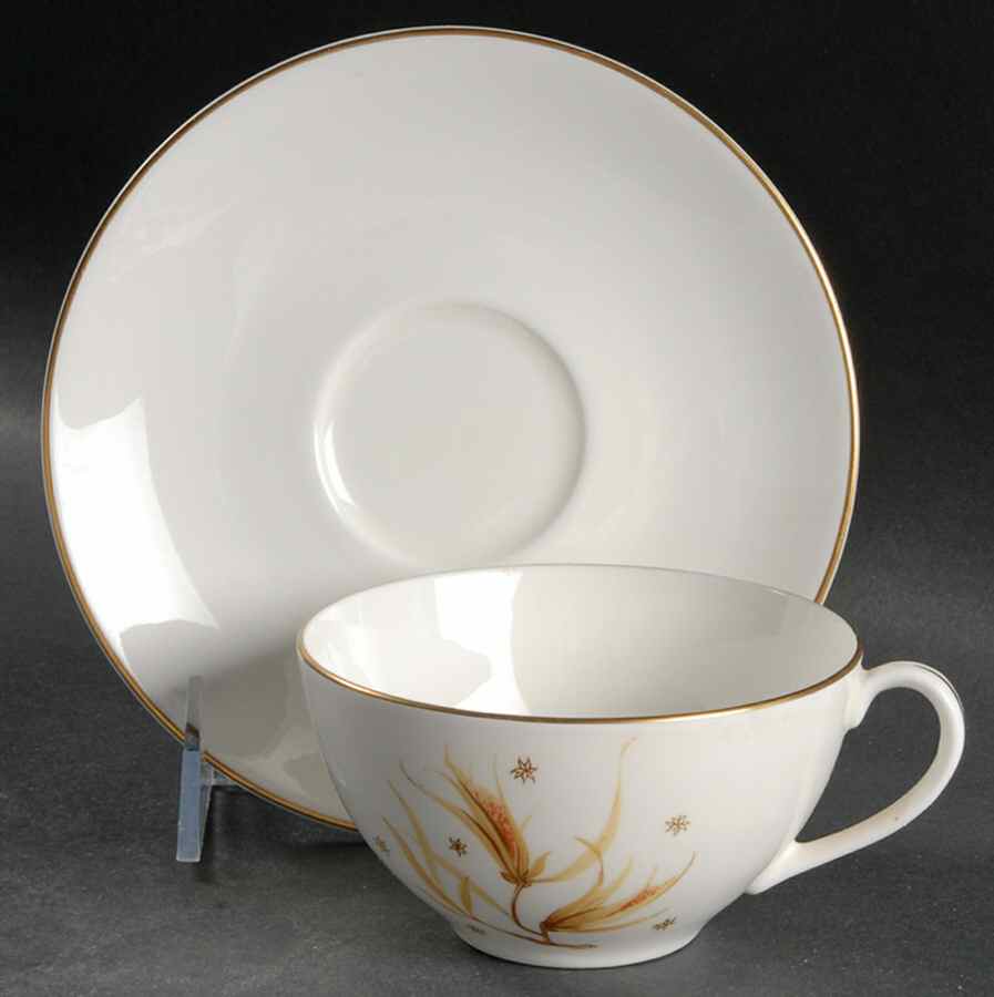 Golden Maize Flat Cup & Saucer Set by Royal Doulton-1