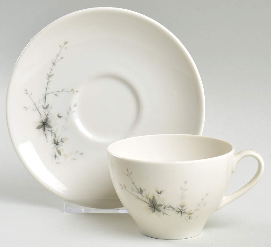 Greenbrier Flat Cup & Saucer Set by Royal Doulton-1