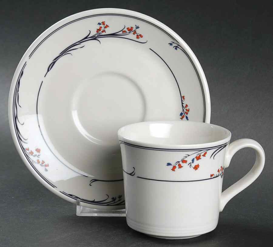 Greenwich Flat Cup & Saucer Set by Royal Doulton-1